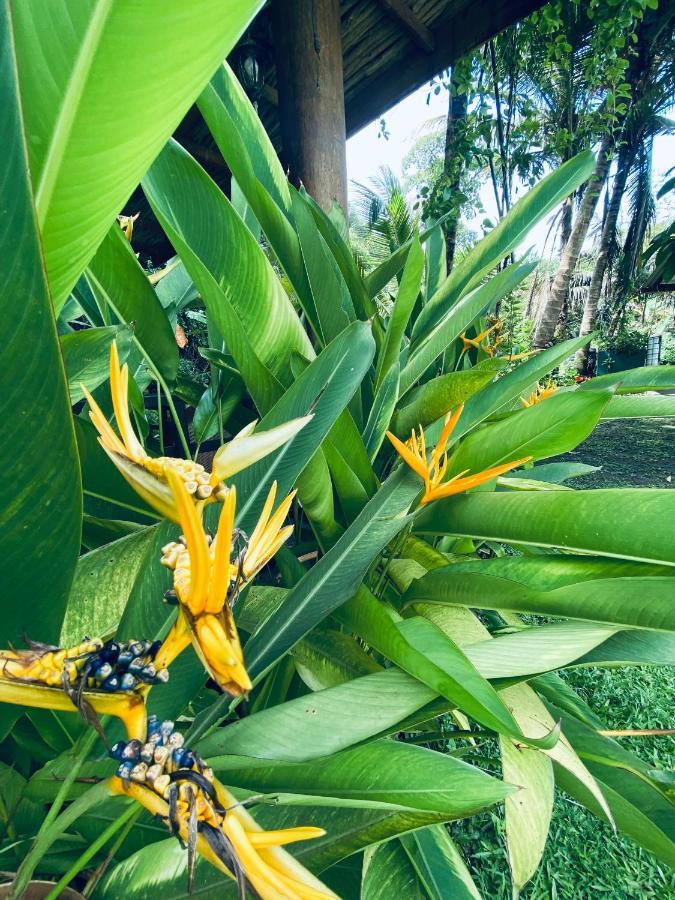 Nature Villa Unawatuna Galketiya Esterno foto